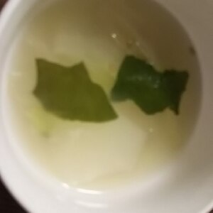 簡単！玉ねぎの鶏がらスープ